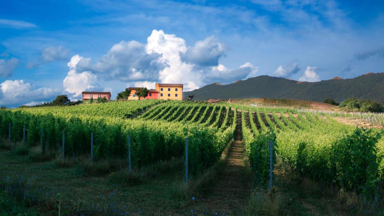 Tenuta Grimaldi Wine Resort Matelica Eksteriør bilde