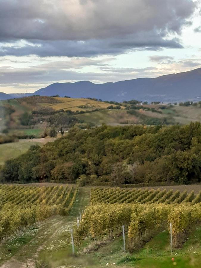 Tenuta Grimaldi Wine Resort Matelica Eksteriør bilde