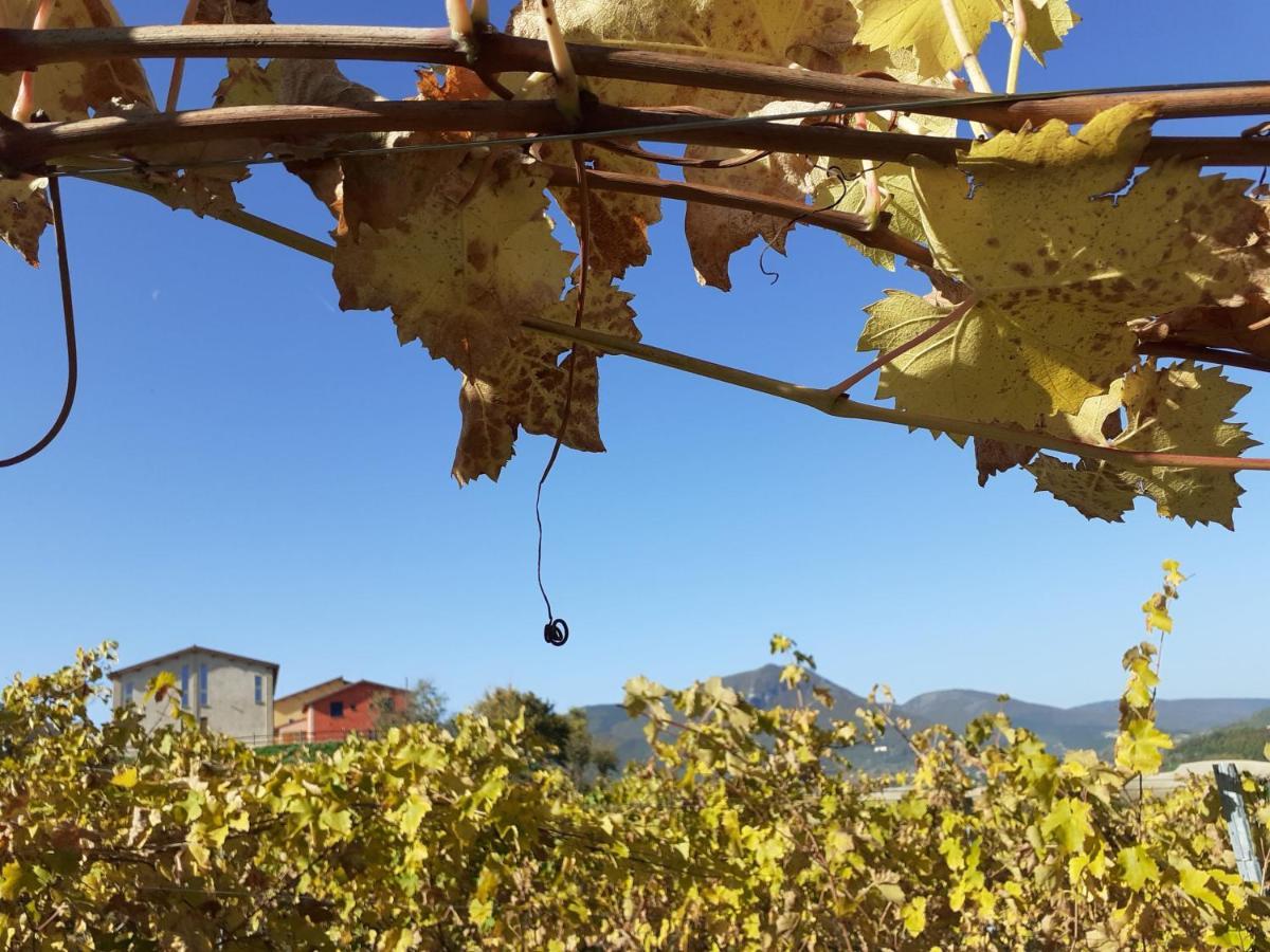 Tenuta Grimaldi Wine Resort Matelica Eksteriør bilde
