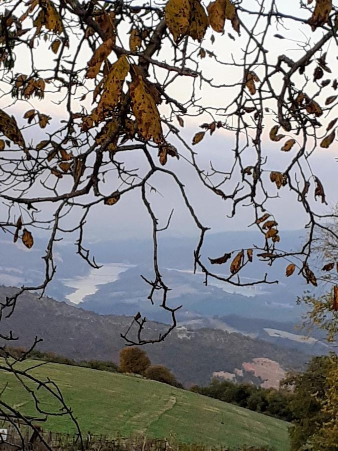 Tenuta Grimaldi Wine Resort Matelica Eksteriør bilde