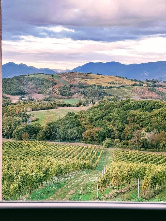 Tenuta Grimaldi Wine Resort Matelica Eksteriør bilde