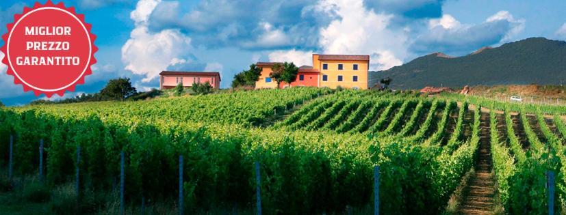 Tenuta Grimaldi Wine Resort Matelica Eksteriør bilde